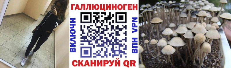 Галлюциногенные грибы ЛСД это какой сайт Красный Сулин